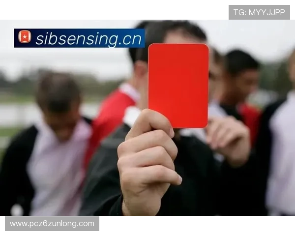 尊龙体育直播平台的多设备支持，让你随时随地畅享体育盛事