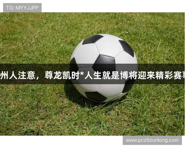 畅游尊龙凯时官方网站入口，发现各类精彩赛事和活动